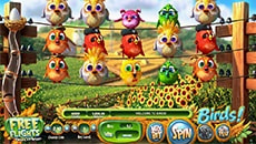 Online Slot Birds von Betsoft